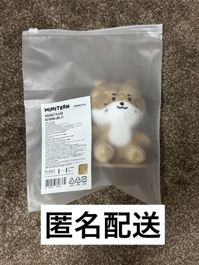 

[USED] SEVENTEEN Dino Chandari Magnet Key Ring