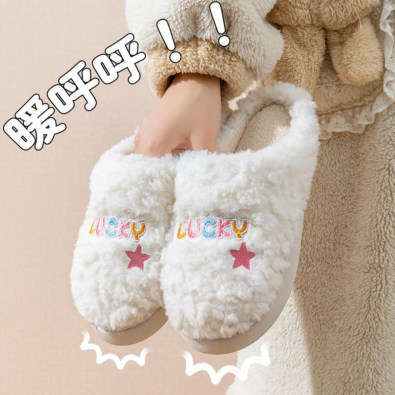 Cotton Slippers Embroidered Autumn and Winter Indoor Home Thick Bottom Warm Piled Couple Hair Slippers