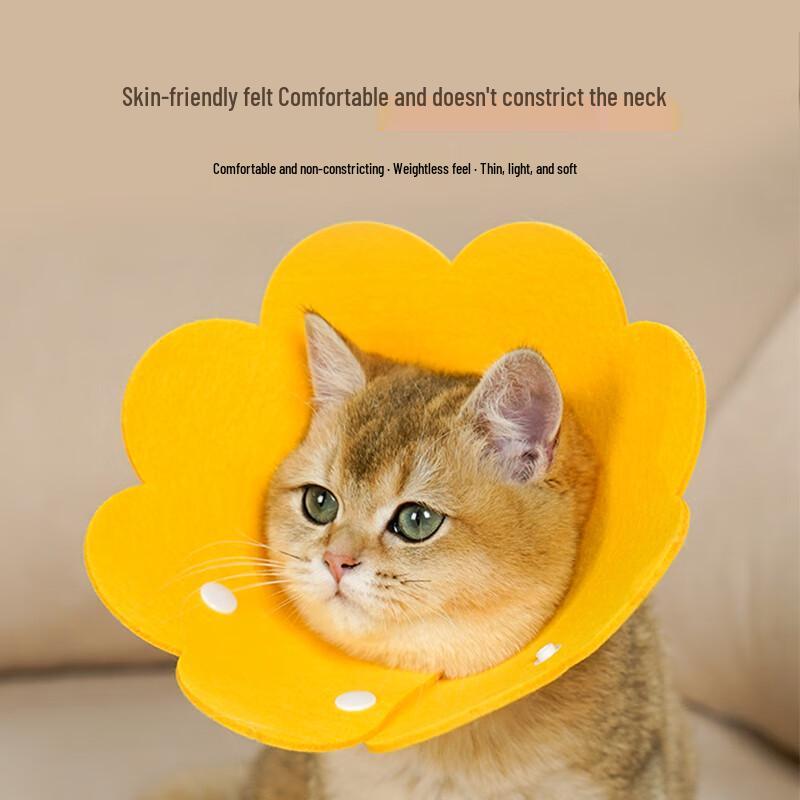 Soft Pet Recovery Collar