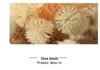 Nordic Dreamy Flower Ornaments for Home Decor - Perfect for Living Room, Dining Table, or Entryway