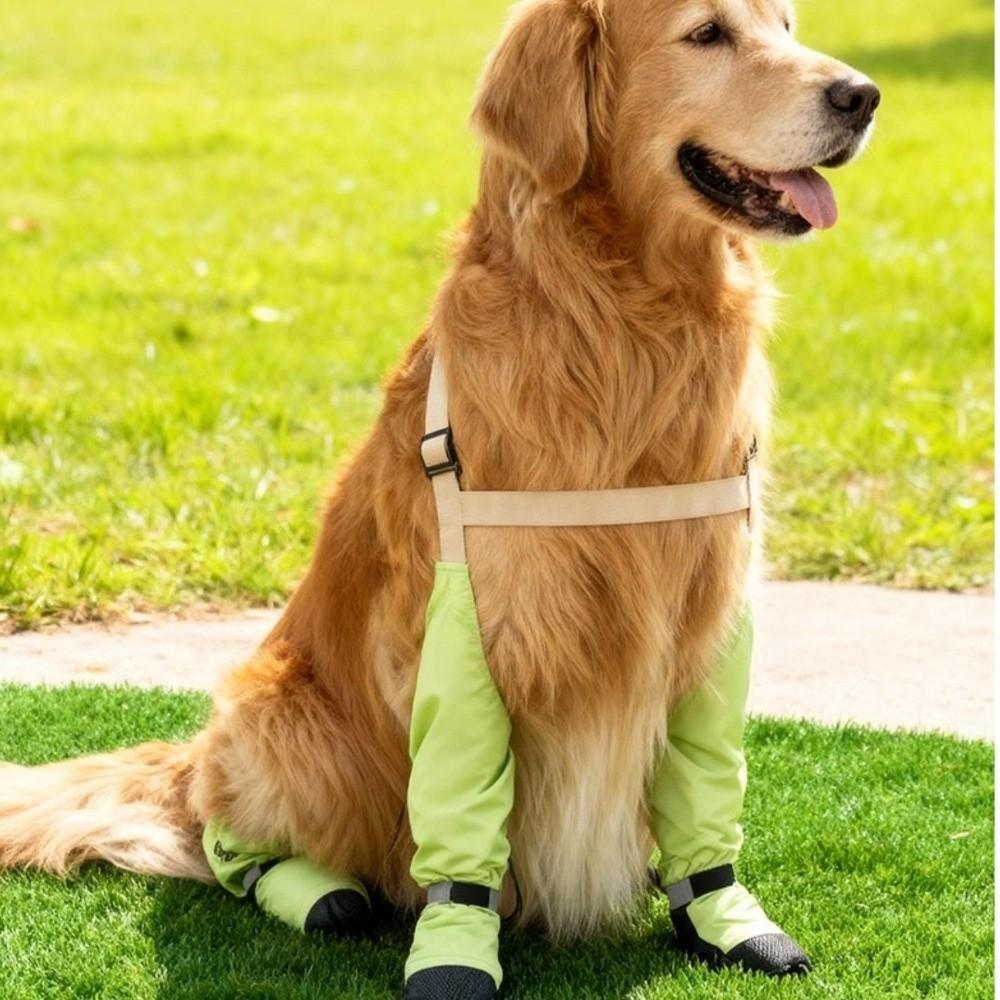 Anti-dirty Dog Rain Pants Adjustable Puppy Shoe Cover Dog Protectors Pet Dust Pants  Pet Strolling