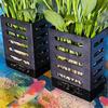 Yousheng Aquarium Plant Holder with Hooks And Suction Cups Easy to Hang Improves Water Circulation Hydroponic Box