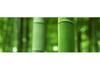 Traditional Unpainted Bamboo Chopsticks - Old Model, Thick Head Design