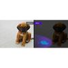 120W 395NM UV Blacklight Flashlight 9-Core LED USB Rechargeable Torch for Pet Urine Detection Scorpion Hunting