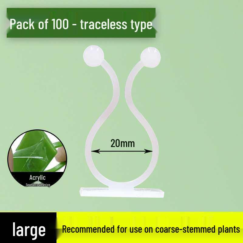Pothos Climbing Clips: Rose Green Plant Wall Hooks for Vines