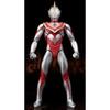 Ultraman Gaia XIG Fighter Set Web ULTRA-ACT & (Tamashii Exclusive)