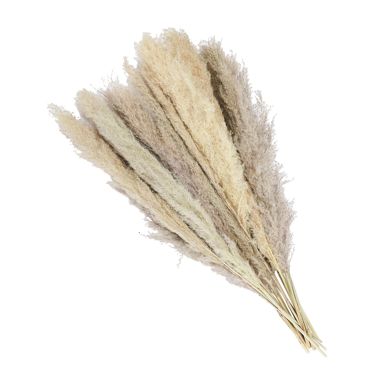 

15pcs Reed Flowers Simulation Full Shape Beauty Fluffy Reed Fake Flower for Wedding Home Decoration