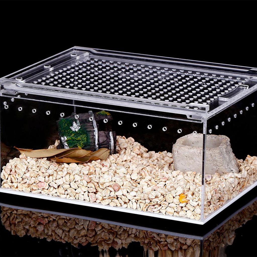 Acrylic Reptile Cage Breeding Box Terrarium Clear Feeding Habitat for Snake Small Pet Isopods Lizards Roaches Insect