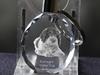 Romagna Water Dog - Pendant with a Photo of a Dog, Crystal Key Ring In a Gift Box, a Unique Gift by Art-Dog