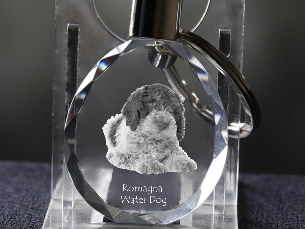 Romagna Water Dog - Pendant with a Photo of a Dog, Crystal Key Ring In a Gift Box, a Unique Gift by Art-Dog