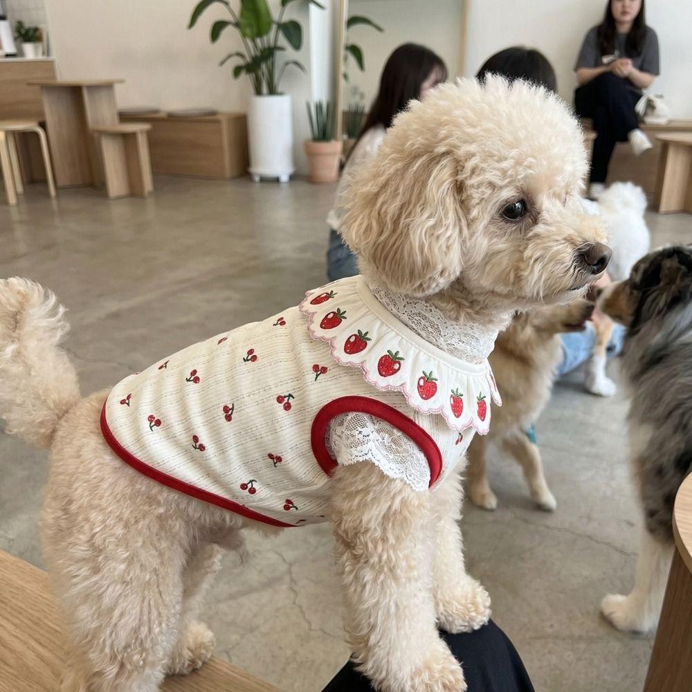 Breathable Cat Strawberry Vest Ruffled Collar Pet T-shirt Cute Cat Lace Vest Indoor Wear