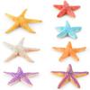 Lifelike Five-point Starfish Figurine Pvc Static Model Perfect For Beach Theme Decor