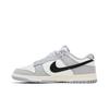Nike Dunk Low 'Smoke Grey' (Unisex) Smoke Grey / Black / Sail Skateboard Shoes IB3079 101