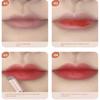 Soft Round Head Lip Brush with Protect Cap Multi Functional Lipstick Smudge Brush Dustproof Silicone Fingertips Brush