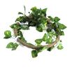 Reptil Klättergren Flexibel Djungel 3.28ft Rattan 1st Vinstock(3.28ft Rattan+Scindapsusblad)