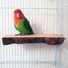 Parrot Wooden Station Frame, Apple Wood Platform, Solid Wood Step, Bird Station Pole, Teething Toy, Totoro Teething Board