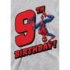 Spider-Man Childrens/Kids Heather 9th Birthday Hoodie