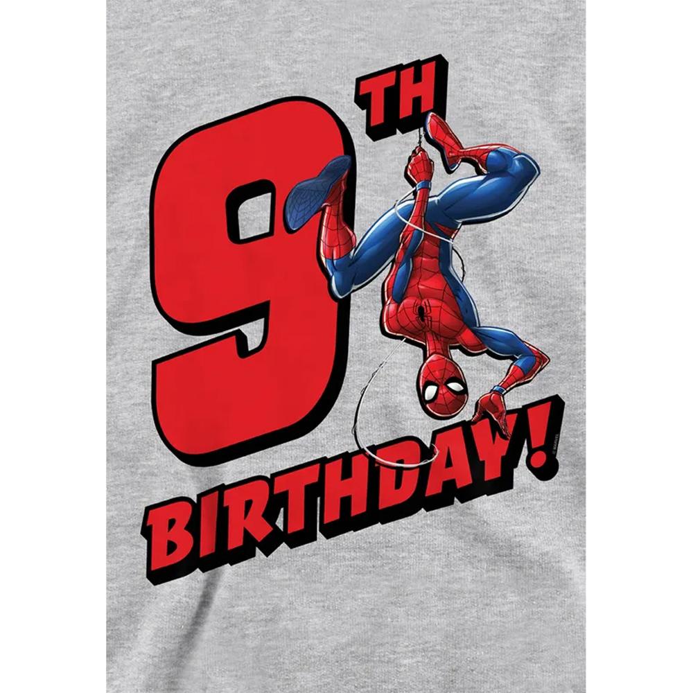 Spider-Man Childrens/Kids Heather 9th Birthday Hoodie