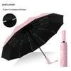 Shixun Automatic Foldable UV Protection Umbrella