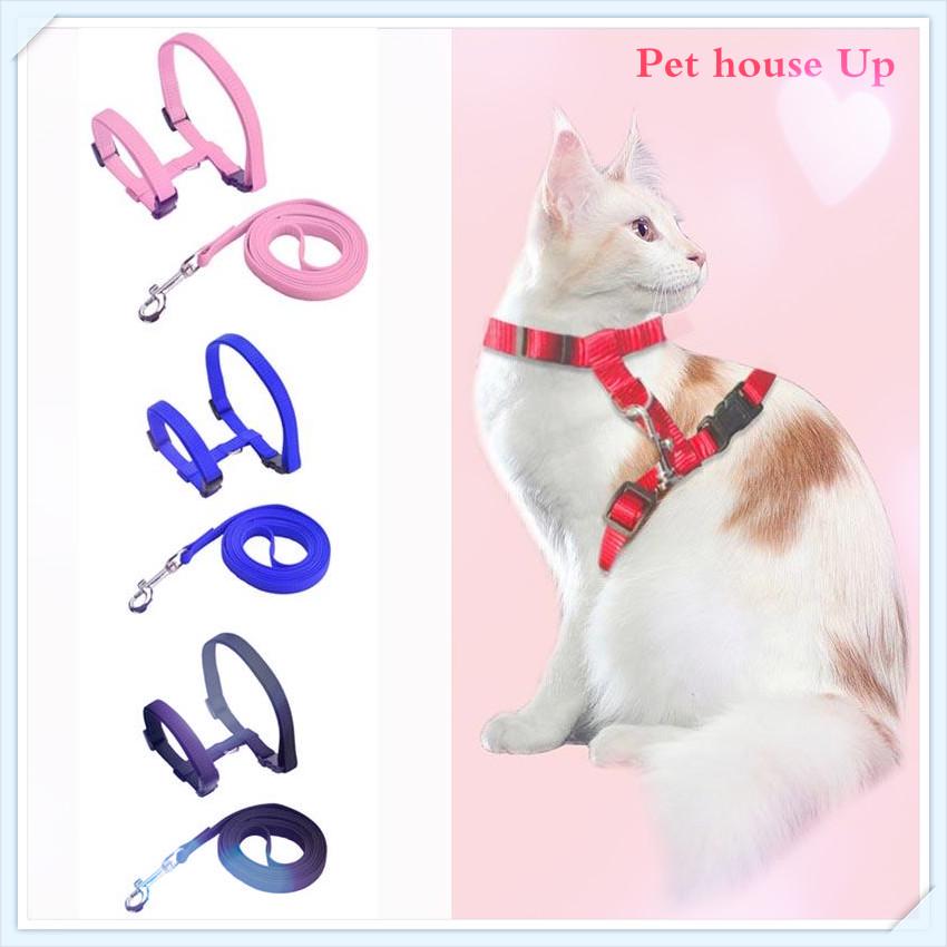 cat body leash