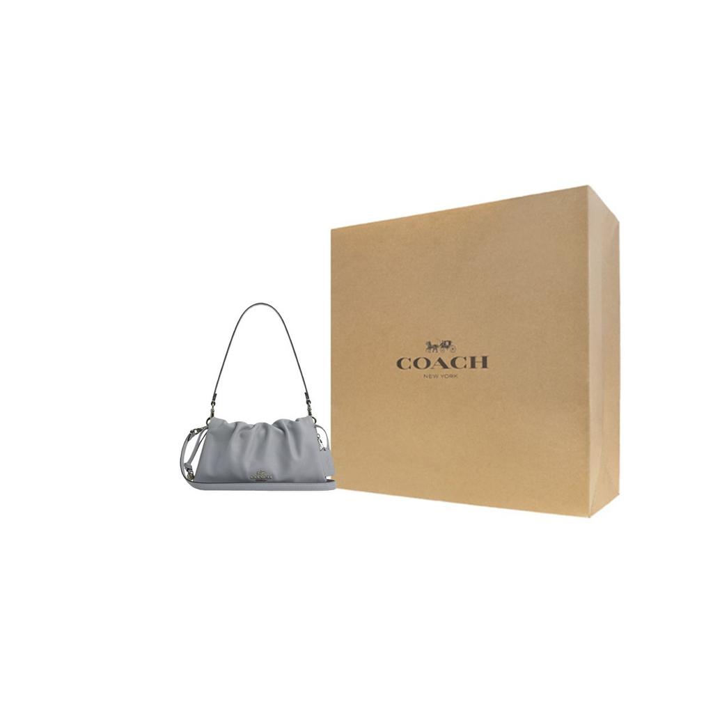 Coach Faye 26 Logo Drawstring Magnetic Closure Smooth Leather Cloud Bag Women Handbags Gray Blue CV529-QBN19
