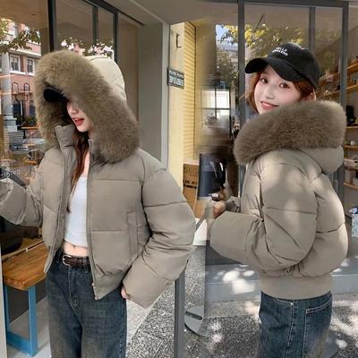 Chaqueta Corta Gruesa de Invierno para Mujer con Cuello de Piel Cálida y Diseño de Capucha