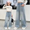 Girls' Straight Leg Pants Spring and Autumn Styles Jean Light Colored Embroidered Elastic Wide Leg Pants Children's Jeans