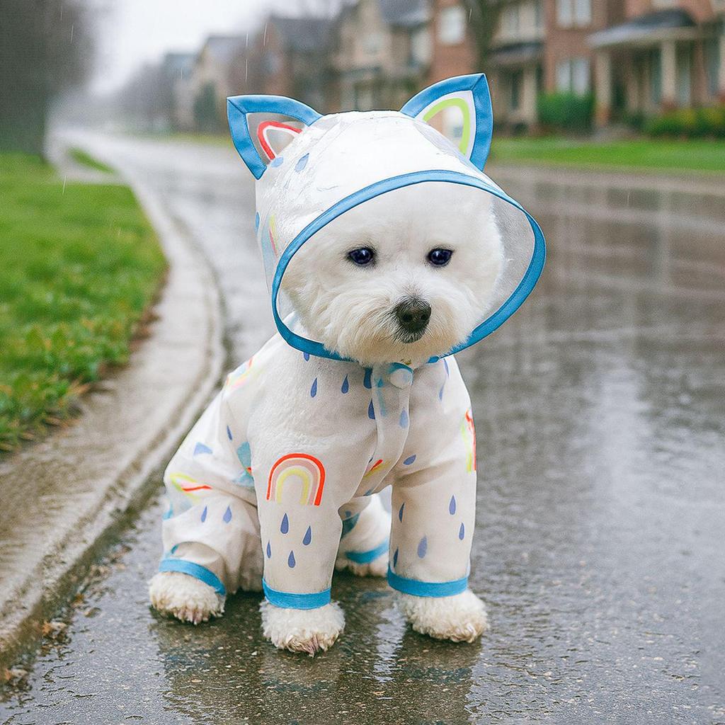 Spring/Summer Transparent Waterproof Raincoat for Small to Medium Dogs, Rainbow Design - Ideal for Teddy & Bichon Frise