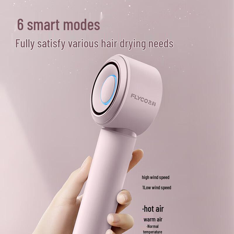 FLYCO Galaxy Ring High-Speed Negative Ion Hair Dryer CN plug (adapter included)