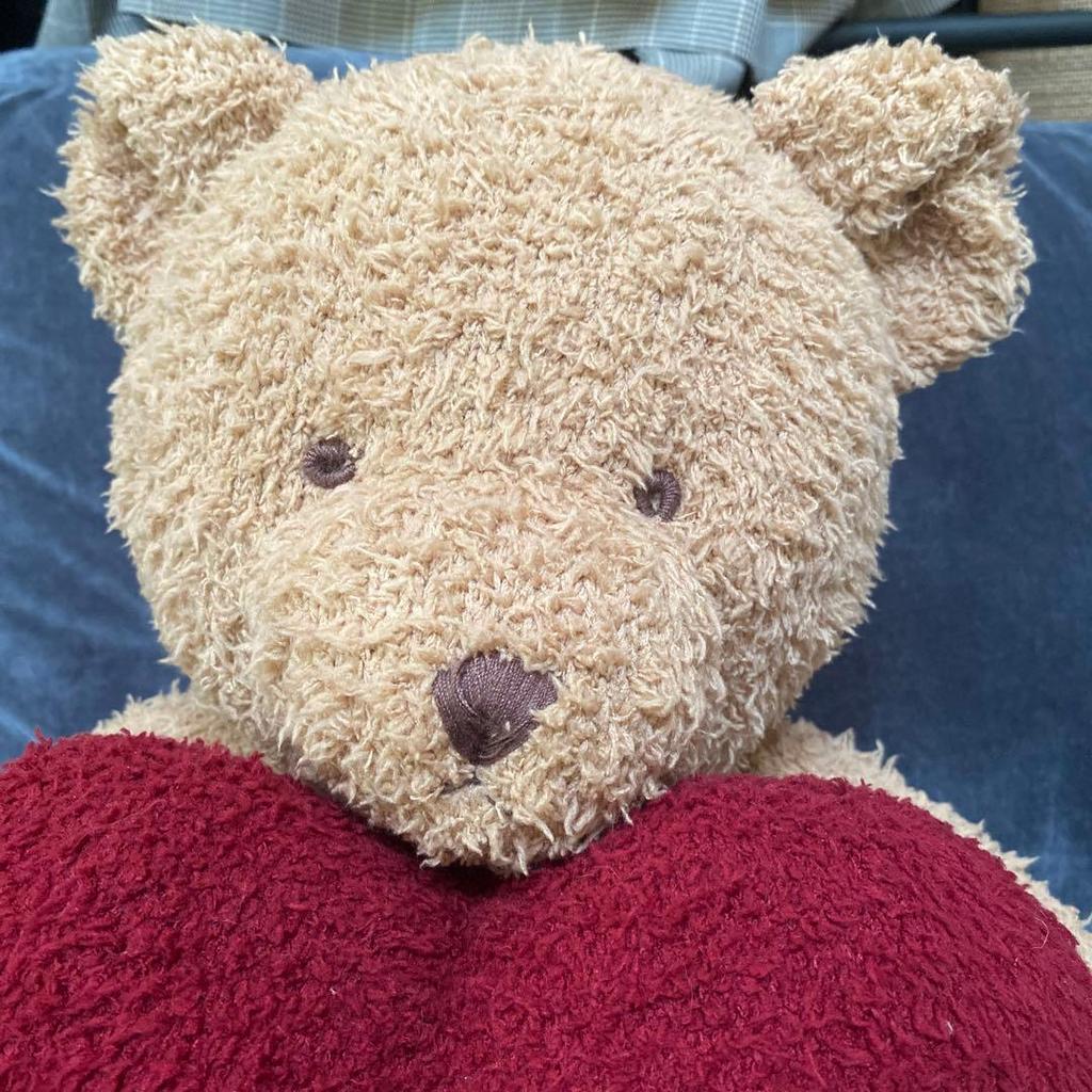 [USED] Gelato Pique Teddy Bear Heart Plush Toy Bear Gelato Pique