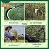 Long-Handle All-Steel Weeding Scythe