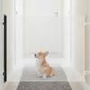 Retractable Pet Barrier Transparent Dog Gate with Hooks Extendable for Hallways