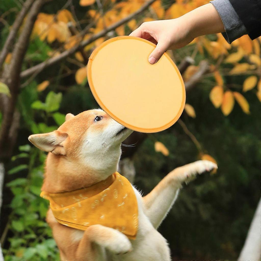 Portable Foldable Flying Fans Assorted Color 24Pcs Ideal For Summer Party Fun And Parent-Child Engagement