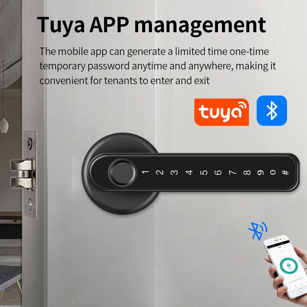 Q50 Bluetooth tuya Door Knobs Fingerprint Lock Handle Door Entrance Passage RFID CardLock With Key Password Lock IP65 waterproof