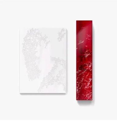 BTS V TYPE View Photobook Set Used