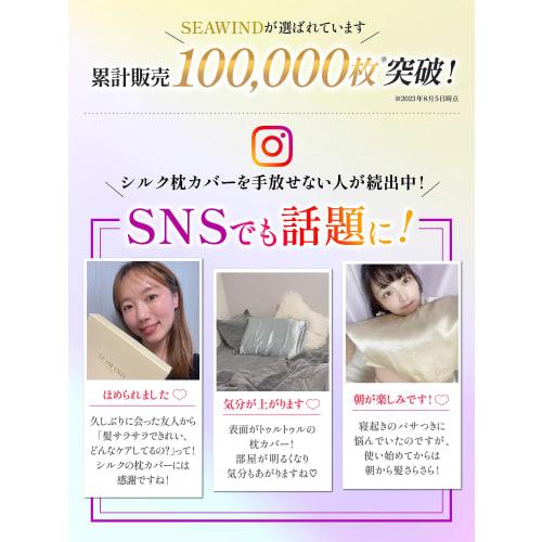 [Supervised by Haircare Professionals] SEAWIND Silk Pillowcase [As Seen on TV] Washable Pillowcase, Double-Sided 90% Silk, 19 Momme, Beautiful Skin, B