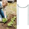 Plant Stakes And Supports 6 Pieces Indoor Plant Support Rings For Flowers Rustproof Half Round Stem Holder Climbing Gardening