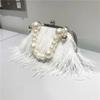 2025 Luxus Mode Damen Tasche Straußenfell Feder Quaste Abendtaschen Damen Tages Clutches Party Hochzeit Geldbörsen Kette Handtasche
