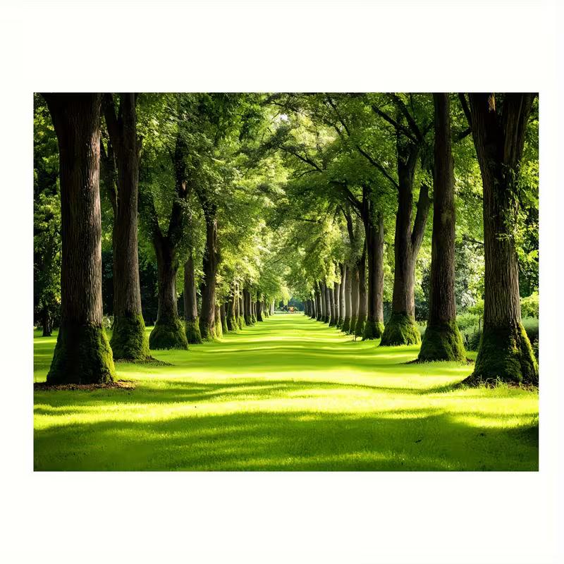 

2D Mossy Tree Avenue Backdrop Green Nature Scenery Photography Background 47.2x31.5inch/120*80cm