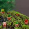 Pinenjoy 20 Pieces Miniature Cactus Plant Figurines, Cute Succulent Ornaments, Soothing Decor, Garden Accessories, Bonsai, Succulent Spheres,