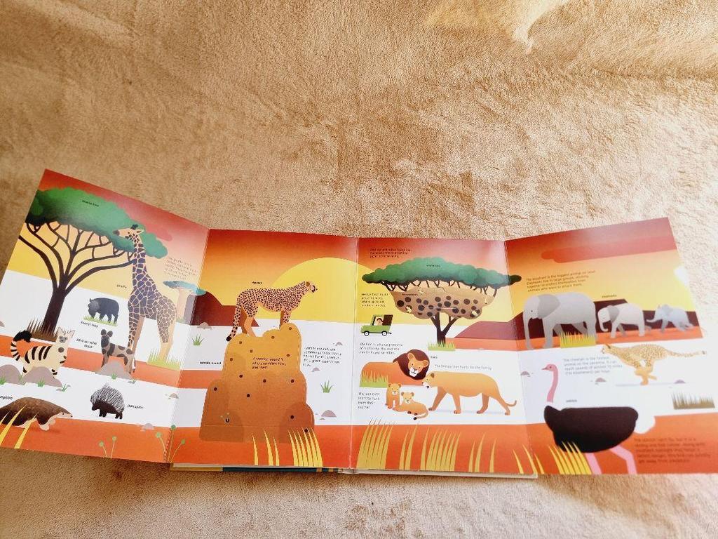 [USED] Ultimate: Savanna Animals Pop-up Book