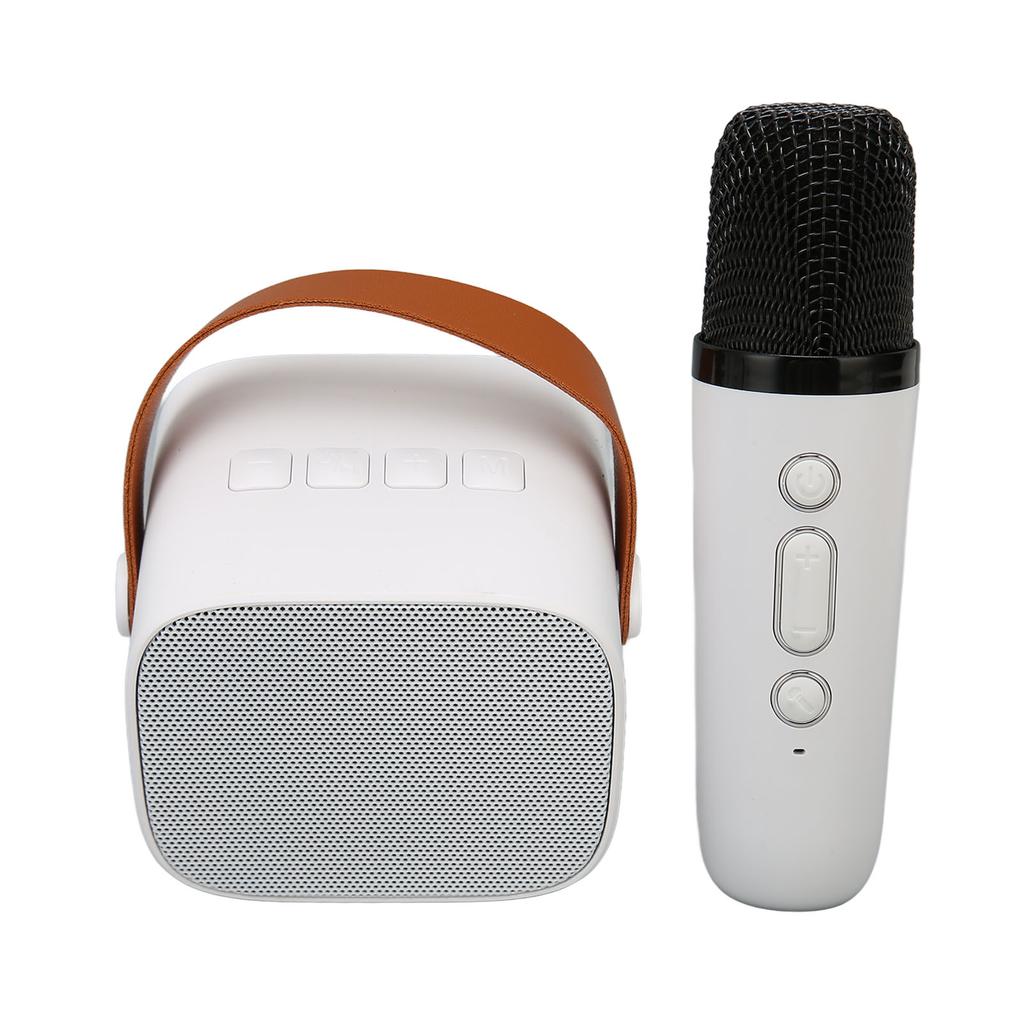Bluetooth Speaker Microphone Set HD Stereo Rechargeable Retro Portable Karaoke Machine for Kids