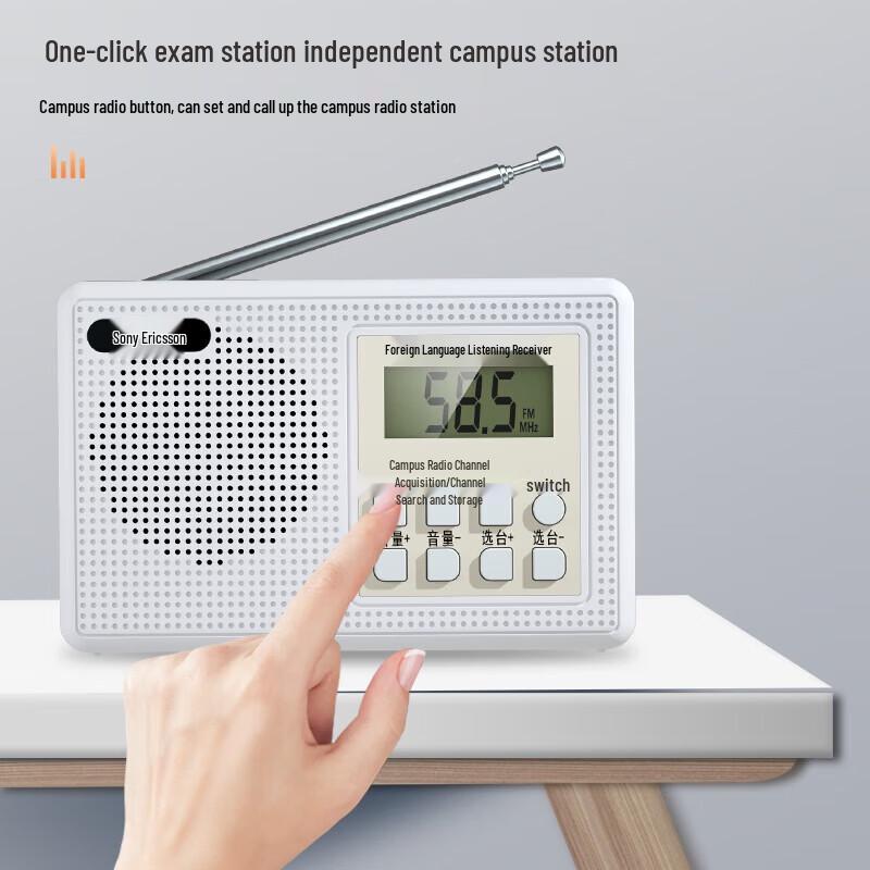 Soaiy C20 Portable FM Radio with Card Playback