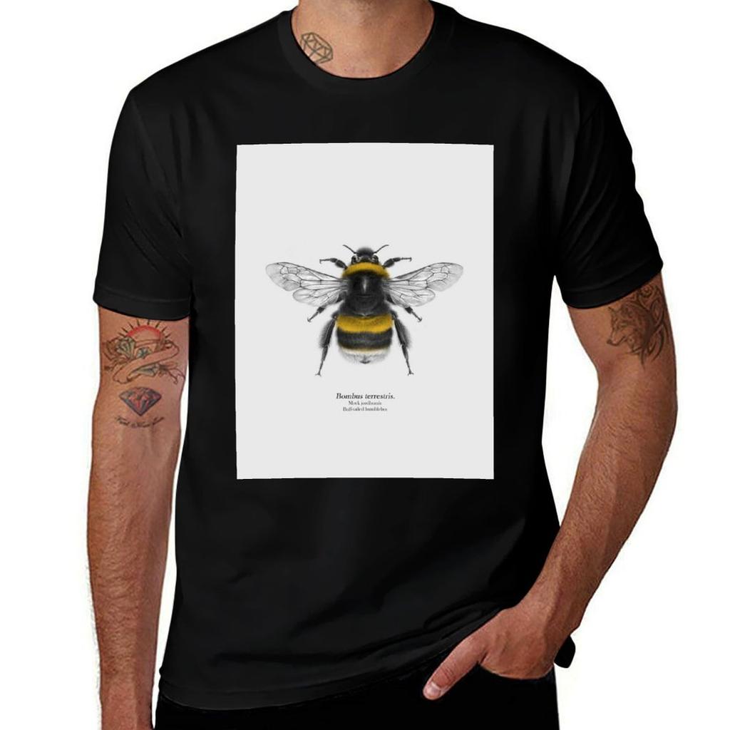 Bombus terrestris TShirt Big and Tall Solid Color TShirt