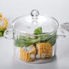 Triceratops High Borosilicate Glass Pot