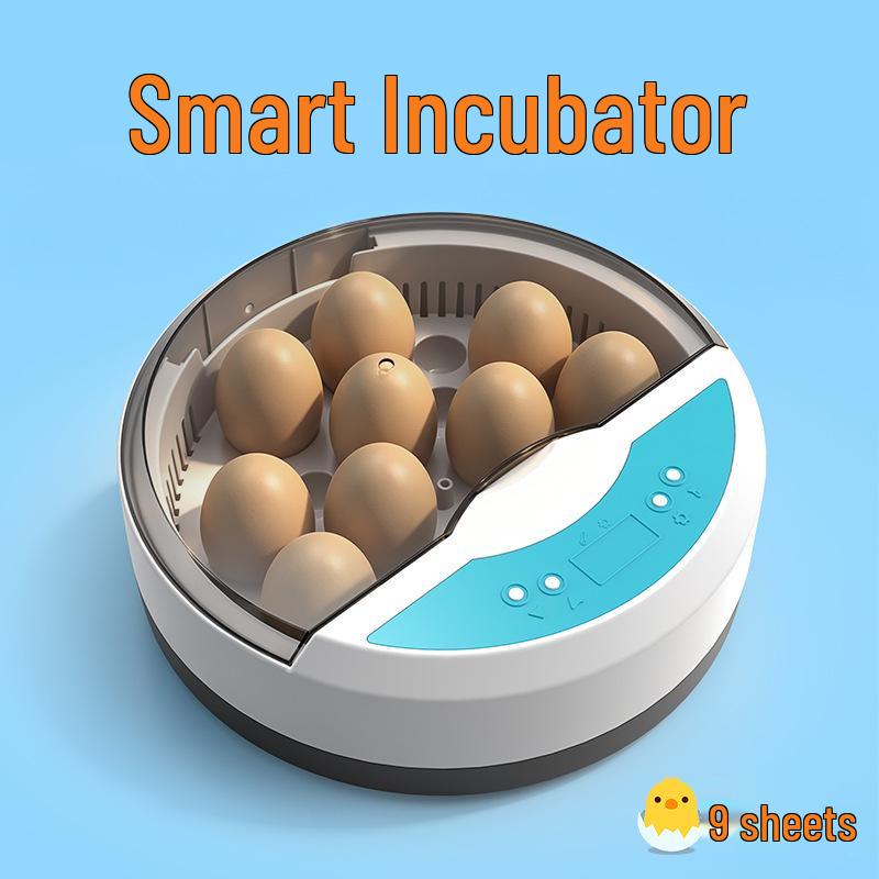 Smart Mini Egg Incubator for Parrots and Budgies: Automatic Pet Hatchery Equipment