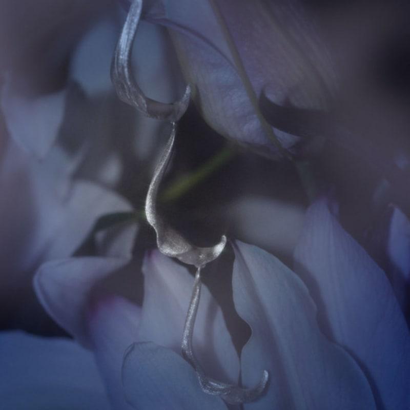 tomorrowobject 23FW. lily breeze. earring 02