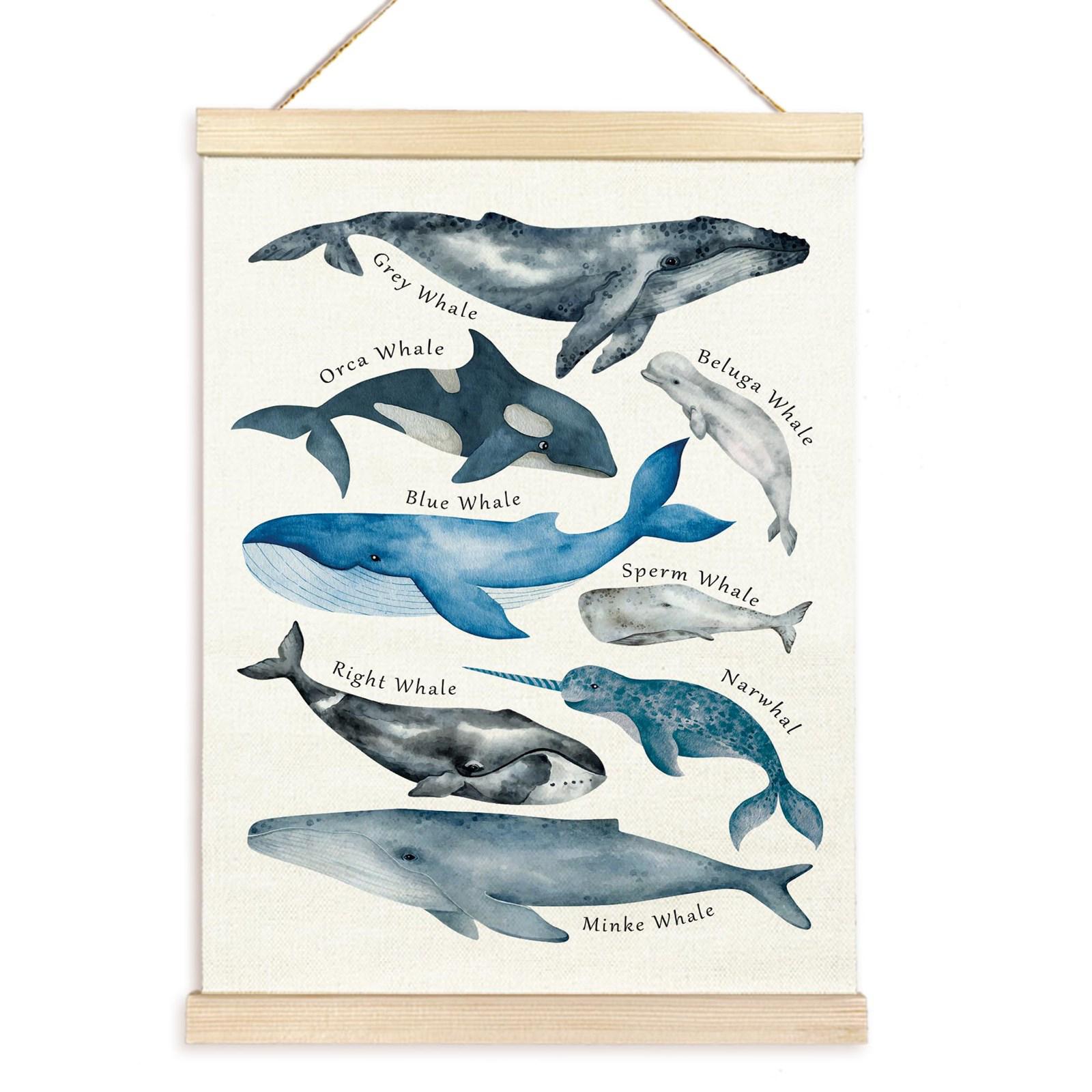 

Educational Poster Whales Ocean Animal Poster for Kids Room Playroom Nursery Featuring Cute Animals Wood Hanger Frame 20