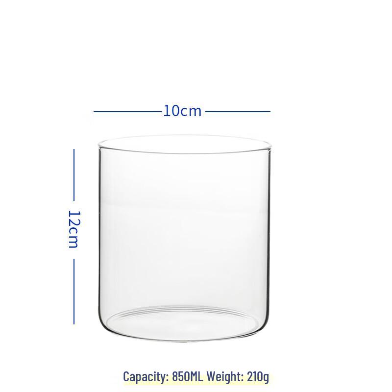 

Borosilicate Glass Tea Cup with Infuser