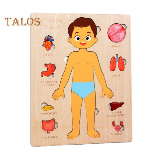 

Головоломка «Части тела» Игра-головоломка «Соответствие» Обучающая головоломка «Структура человеческого тела» Анатомия Доска-головоломка для детей Малыши Деревянная обучающая игрушка STEM Boy